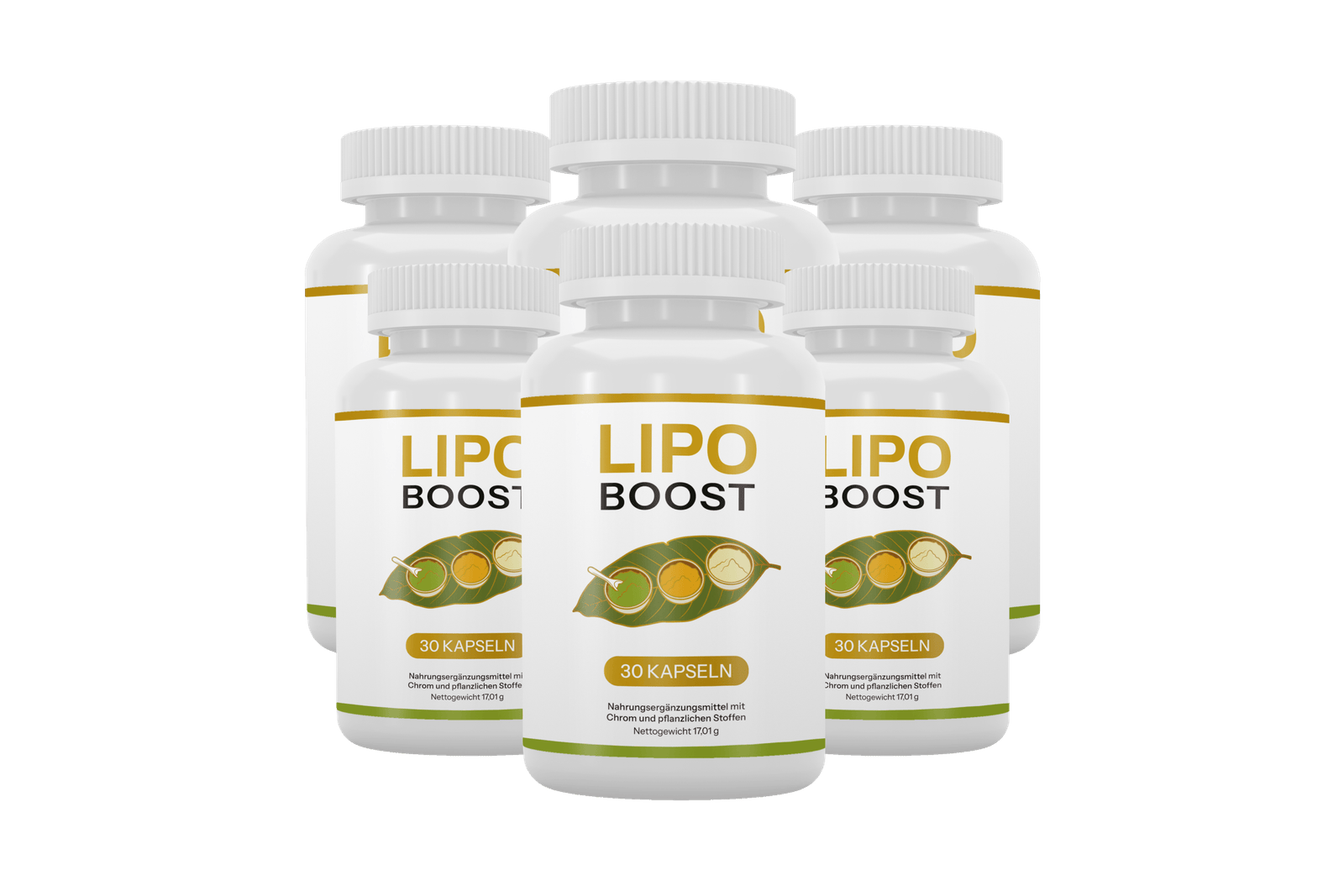 LipoBoost 6 Flaschen